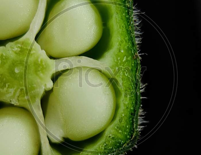 ladyfinger vegetable macro photography