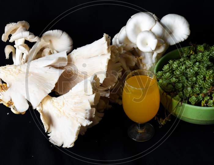 White Oyster Mushroom And Fresh Mango Juice, Potted Succulent Plant