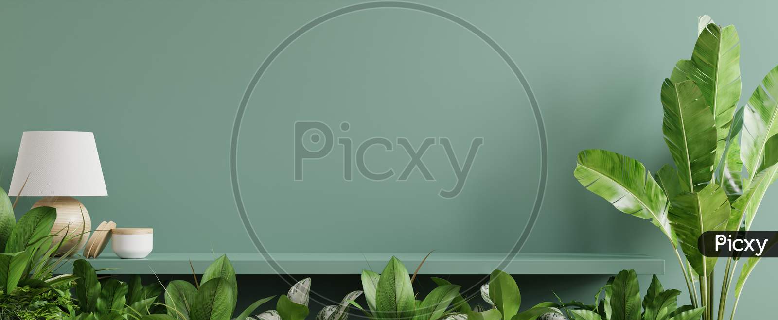 Interior Wall Mockup With Green Plant,Green Wall And Shelf.