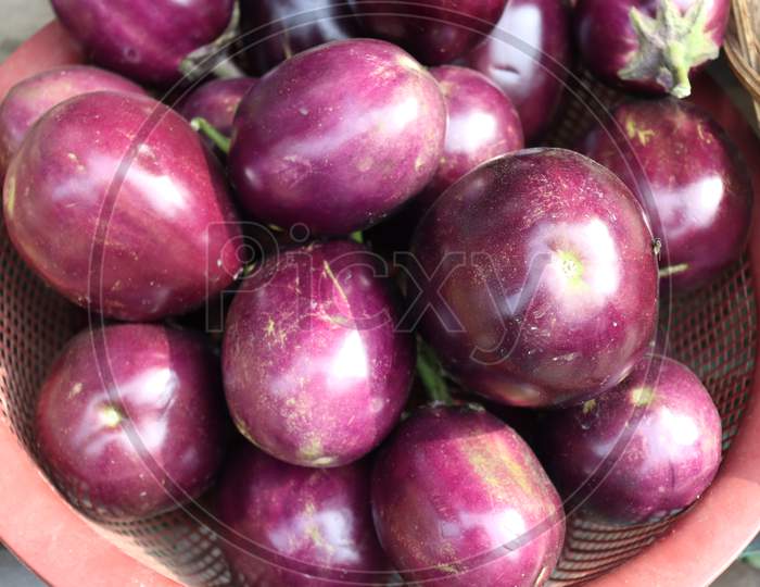 Tasty And Healthy Violet Colored Brinjal Stock
