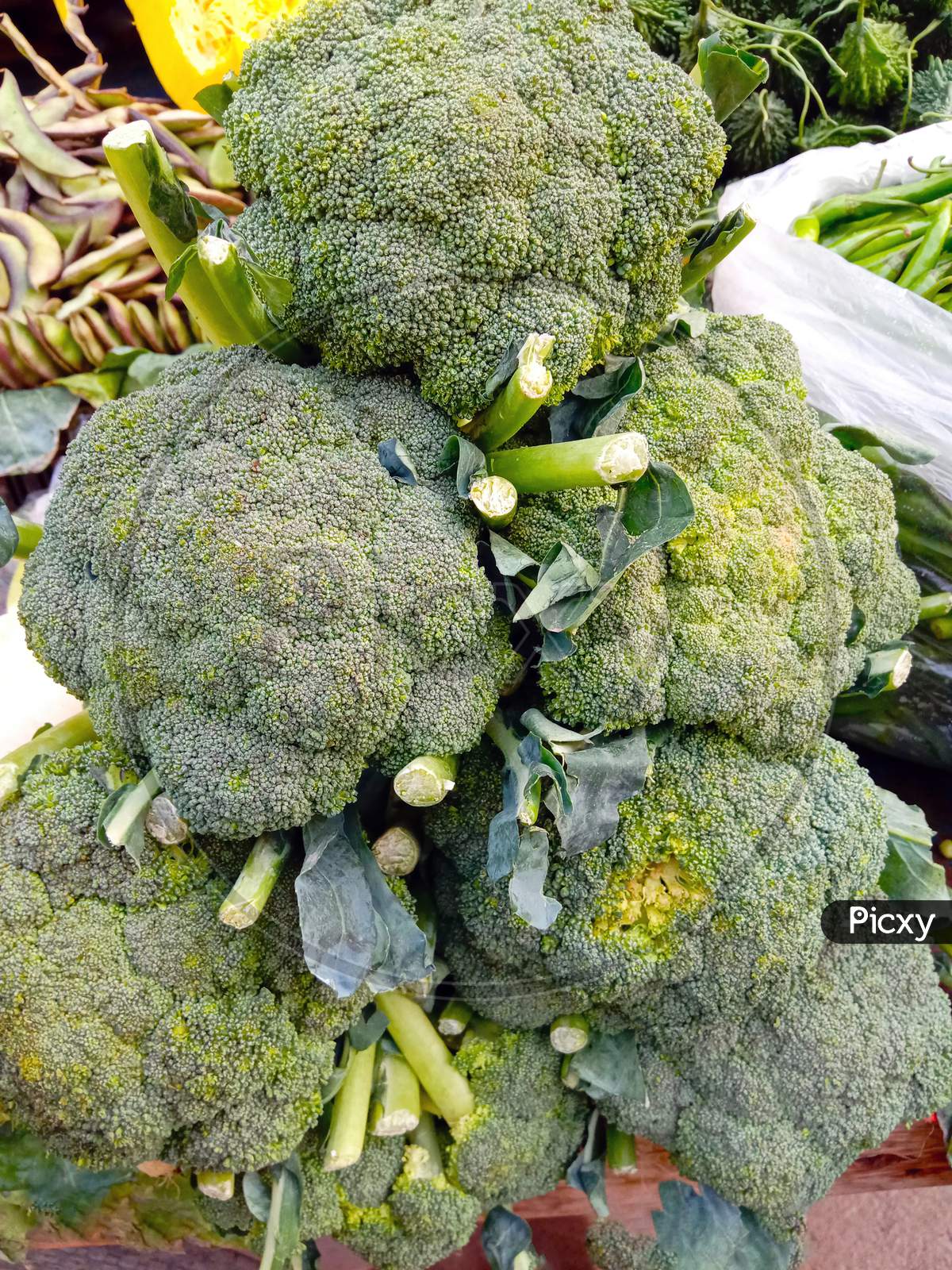 Tasty And Healthy Broccoli Stock
