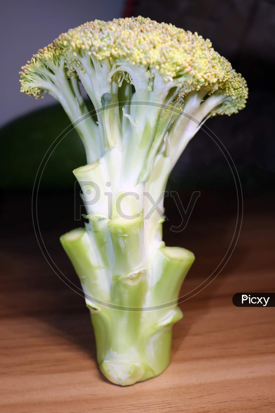 Tasty And Healthy Broccoli Closeup