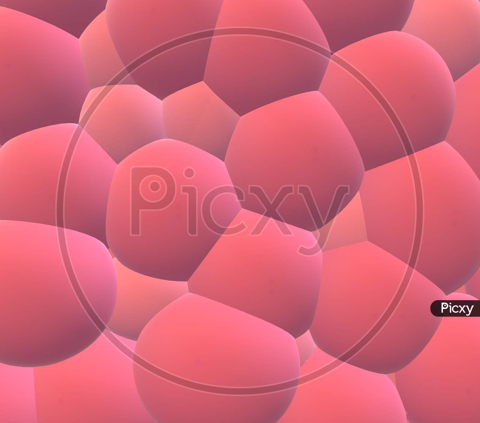 abstract background with spheres. Flying spheres isolated on pink background.  The theme for trendy designs. Spheres in pink matte color. Front view Pink bubbles connected each other. 3D illustration.