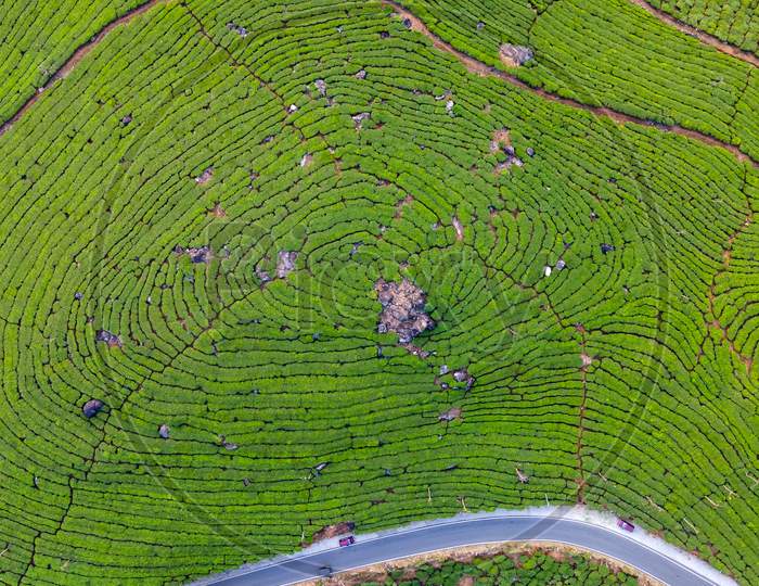 Drone Views of Tea Plantations in Munnar of Idukki District