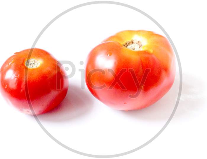 Tomato On White Background Stock Photo