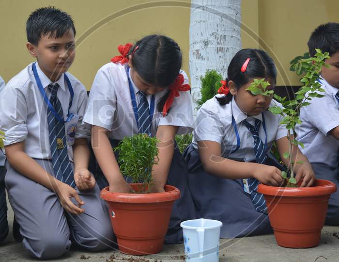 Boys and Girls are planting tree in school