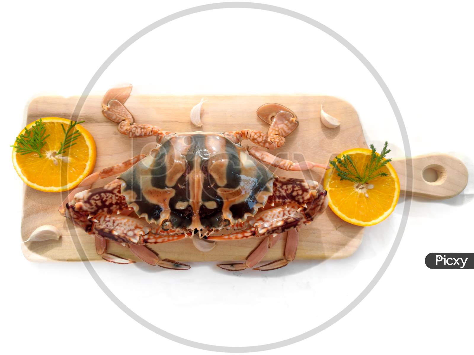 Fresh Crucifix Crab Decorated With Herbs And Fruits On A Wooden Pad.Isolated On White Background.Selective Focus.