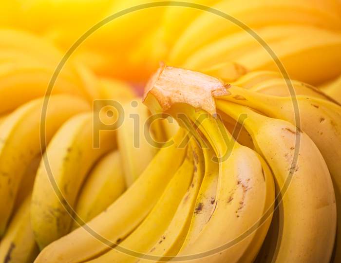 Close-Up Of Yellow Bananas For Background, Texture. Bundles Of Minibananas In A Shop Window, Market. Fresh Raw Fruits
