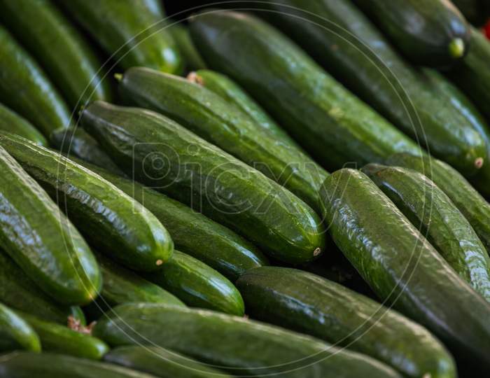Fresh Organic Green Cucumbers On Fresh Market,  Background. Сucumbers Texture . A Lot Of Organic Сucumbers   Root