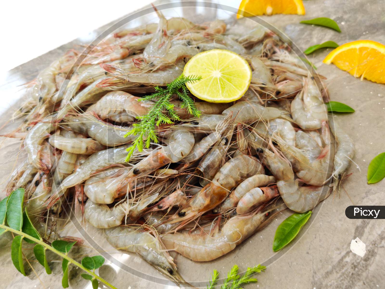 Fresh White Prawns Decorated With Herbs And Fruits.Selective Focus.