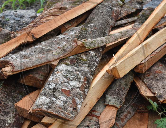 Tree Logs With Distinctly Visible Wood Fiber Brownish Red Pattern