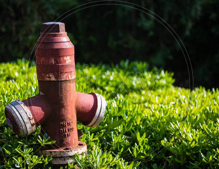 Close-Up - Overhead Red Pressurized Fire Hydrant Against Green Bush Background