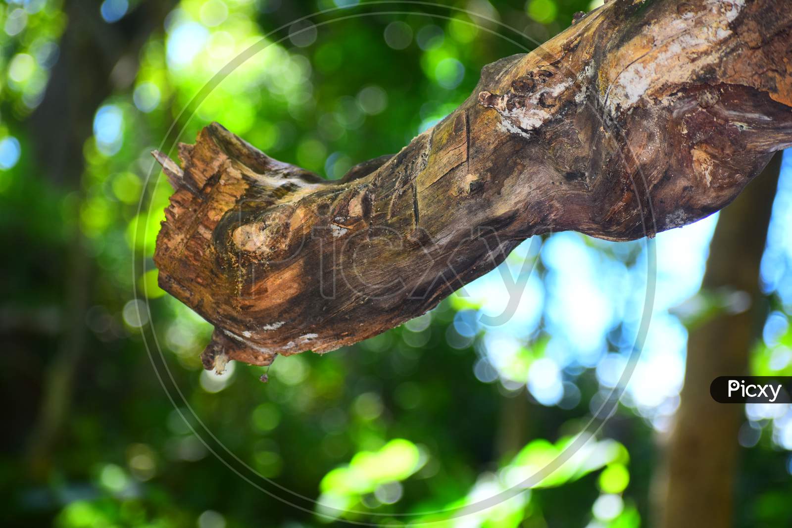 c4e348637ff2cdecf3fdc65a8e8559