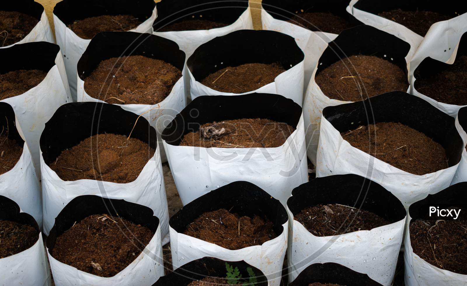 Soil Bags For Gardening Containing Fertile Soil