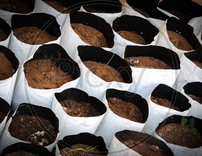 Soil Bags For Gardening Containing Fertile Soil