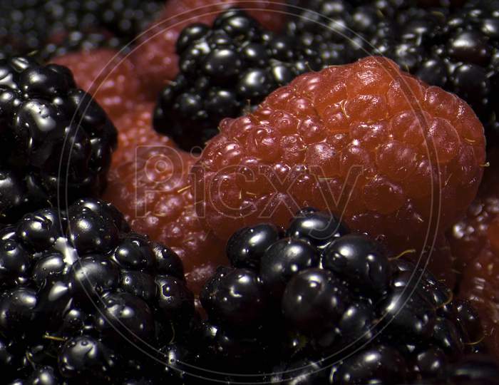 Extreme Close Up  Back Berry  and Red raspberry Image.