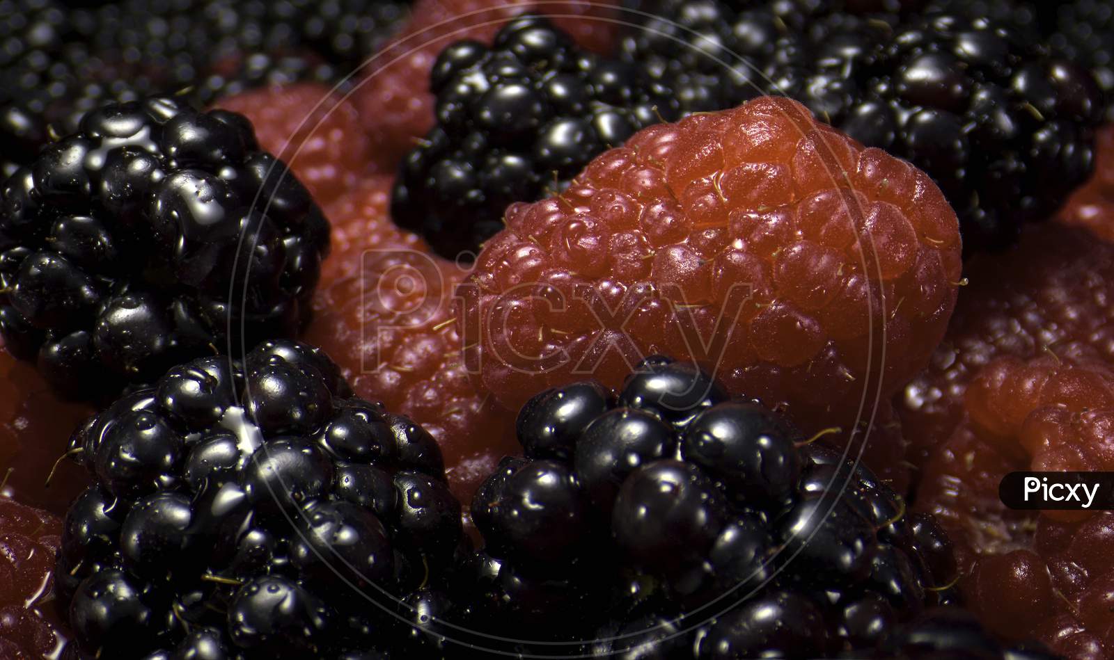 Extreme Close Up  Back Berry  and Red raspberry Image.