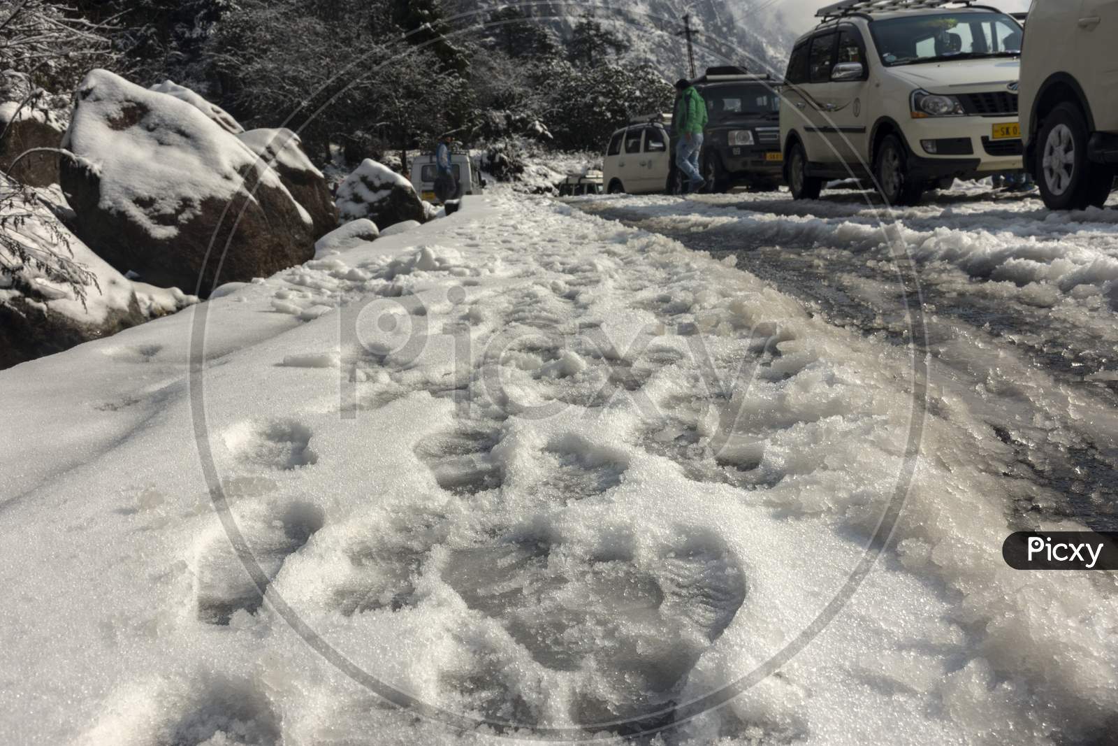2Nd April, 2021, Yumthang Valley, Sikkim, India: Lots Of Foot Prints On Snow On Road.
