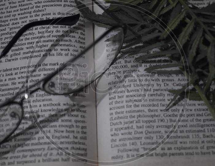 Glasses and leaves on book topview