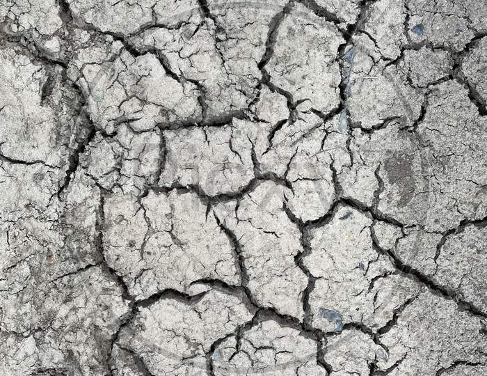Farming field dried and cracked by drought.
