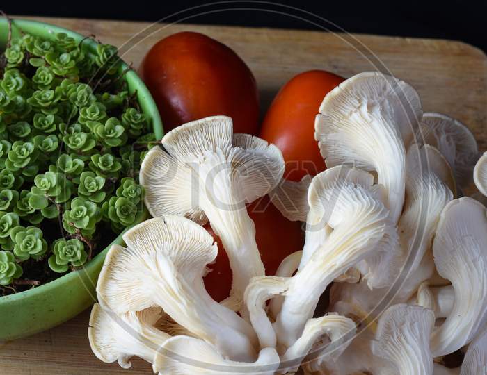 White Oyster Mushroom, Red Tomato And Green Succulent