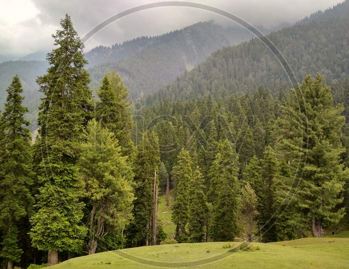 A Beautiful and peaceful view of deenu valley