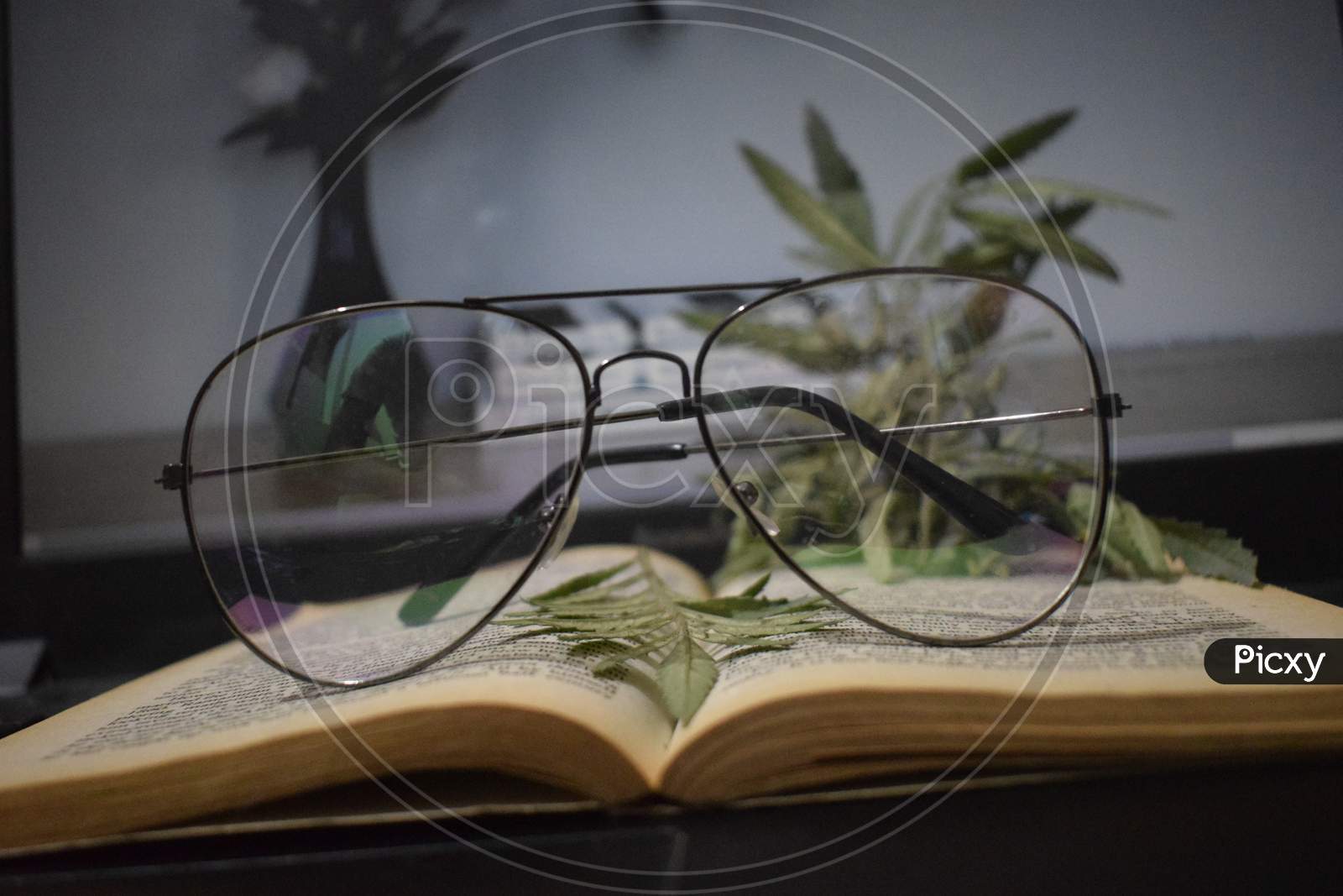 Glasses on books with Satbargha leaves