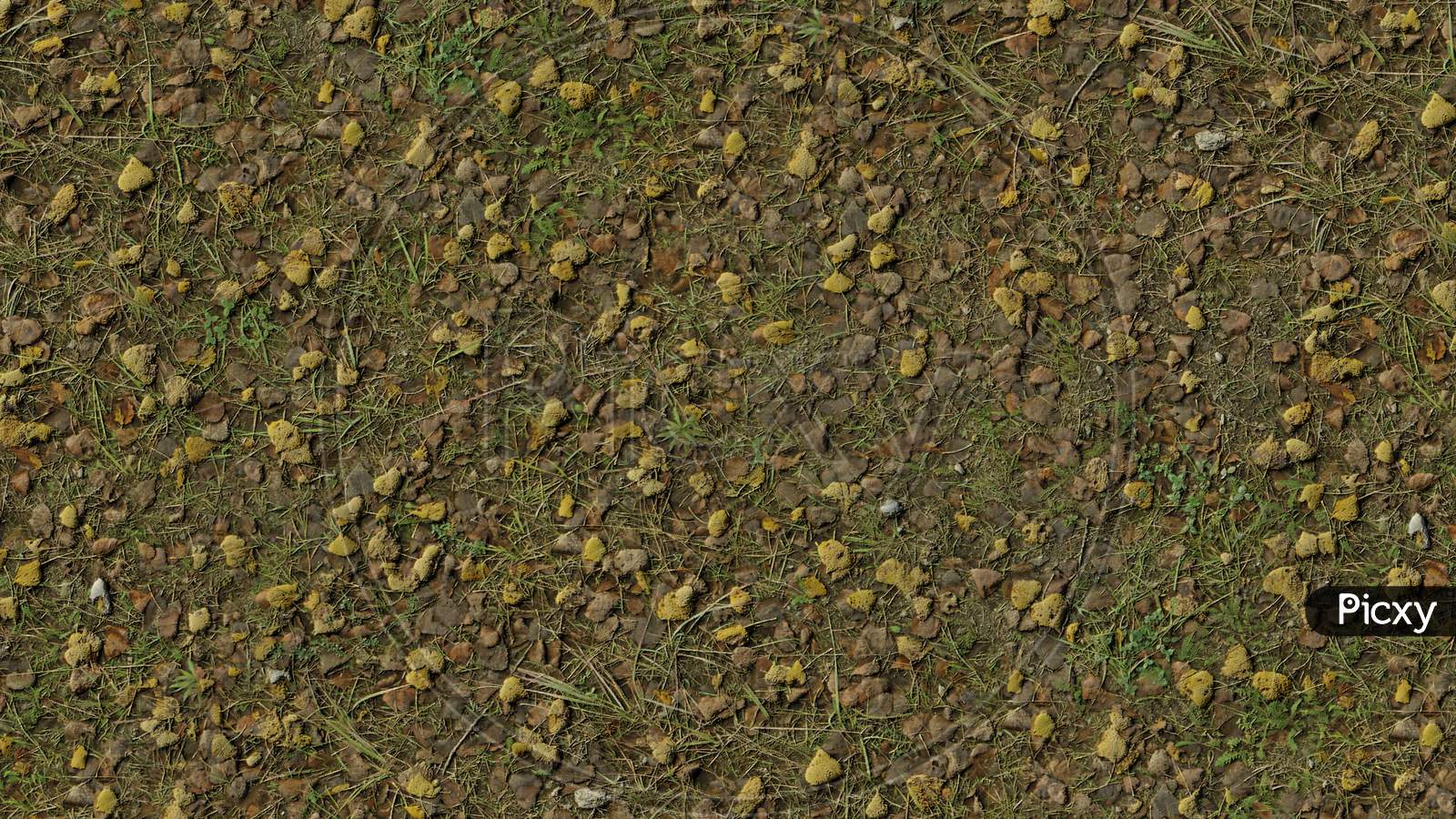 Seamless Green Grass Ground Pattern Background Texture
