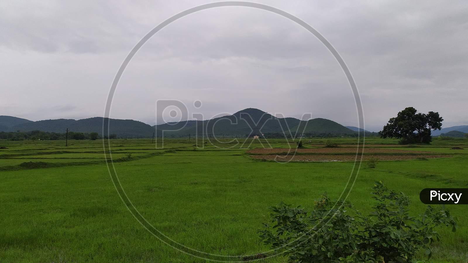 Rural Odisha Agricultural land with mountain view