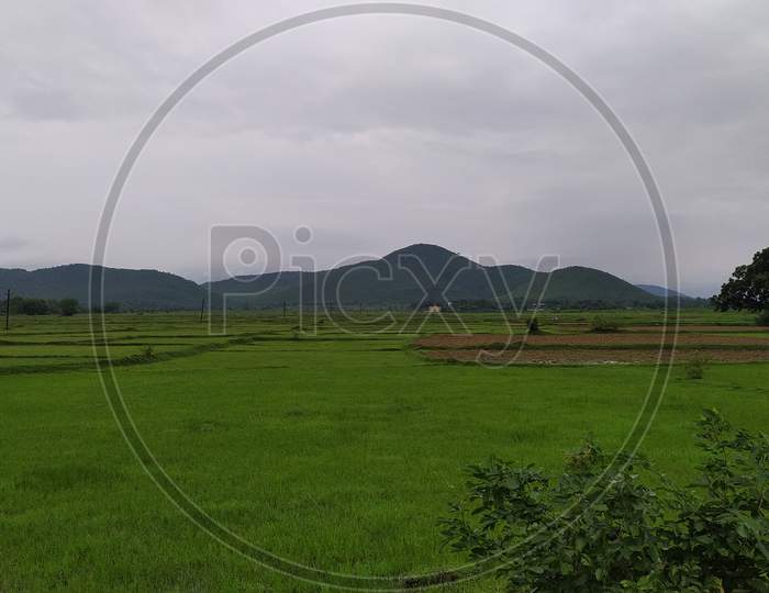 Rural Odisha Agricultural land with mountain view