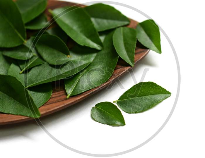 Curry Leaves In The Wooden Spoon