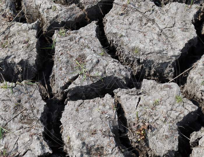 Dry Cracked Soil On Field