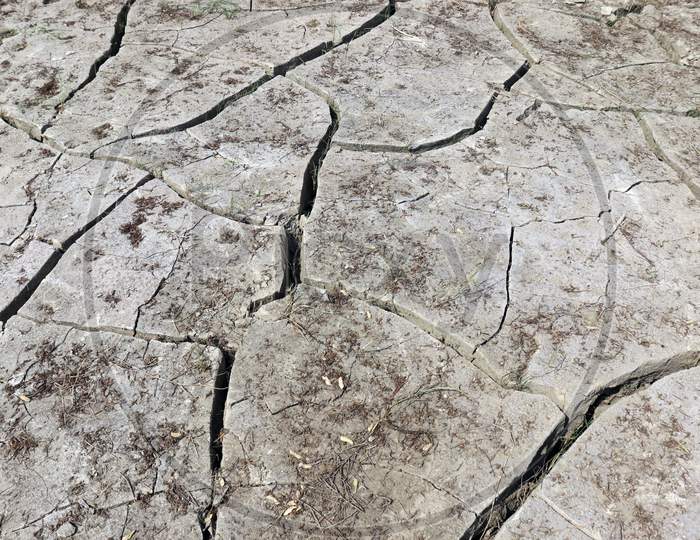 Dry Cracked Soil On Field