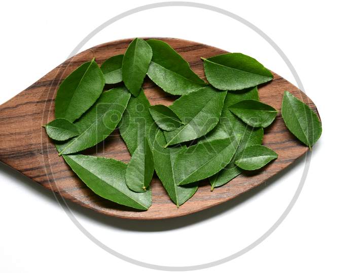 Curry Leaves In The Wooden Spoon
