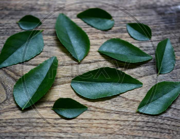 Curry Leaves On Wooden Surface