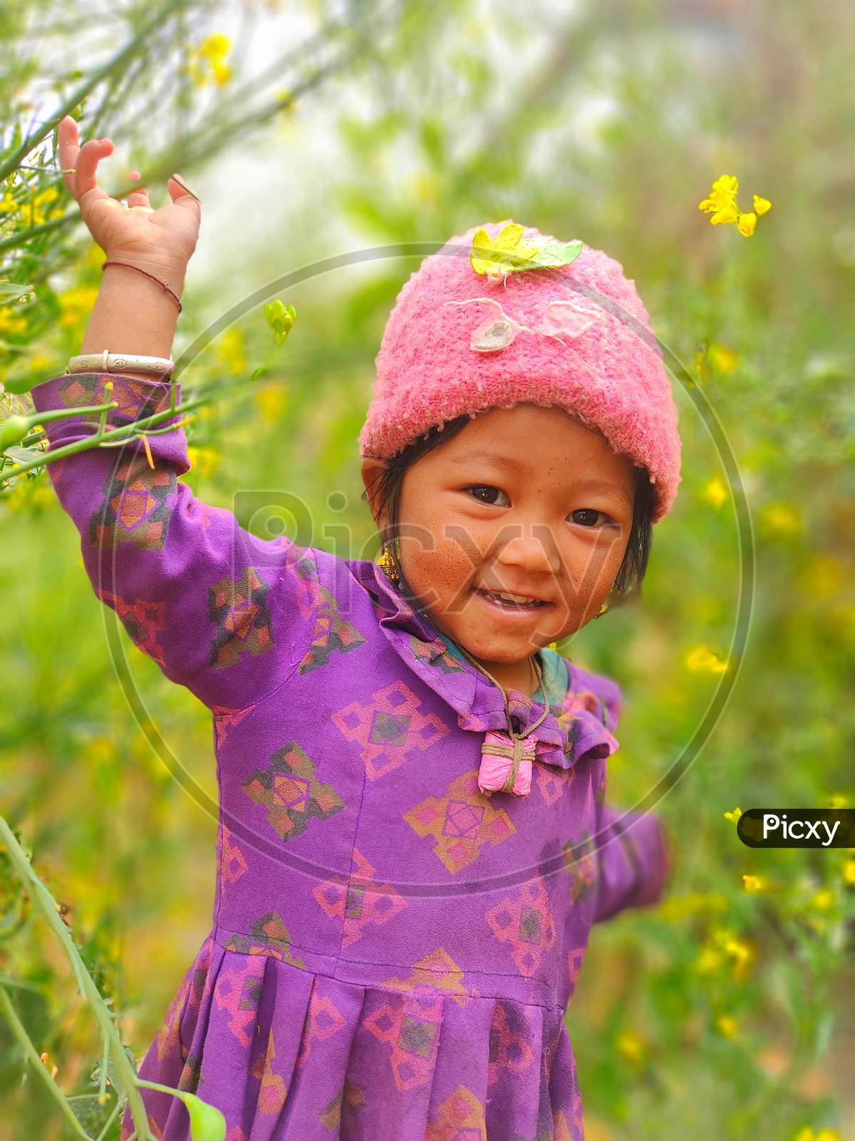 Image of Cute nepali himalayan girl-EM900805-Picxy