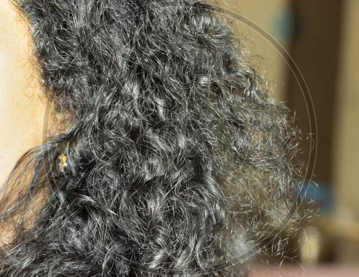 Indian Woman'S Curly Black Hair