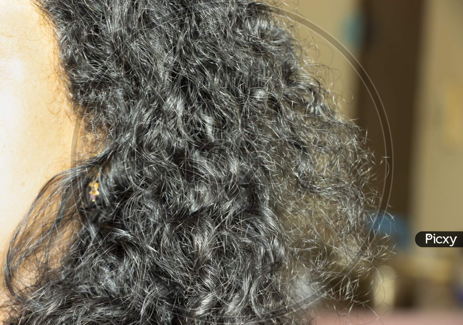 Indian Woman'S Curly Black Hair
