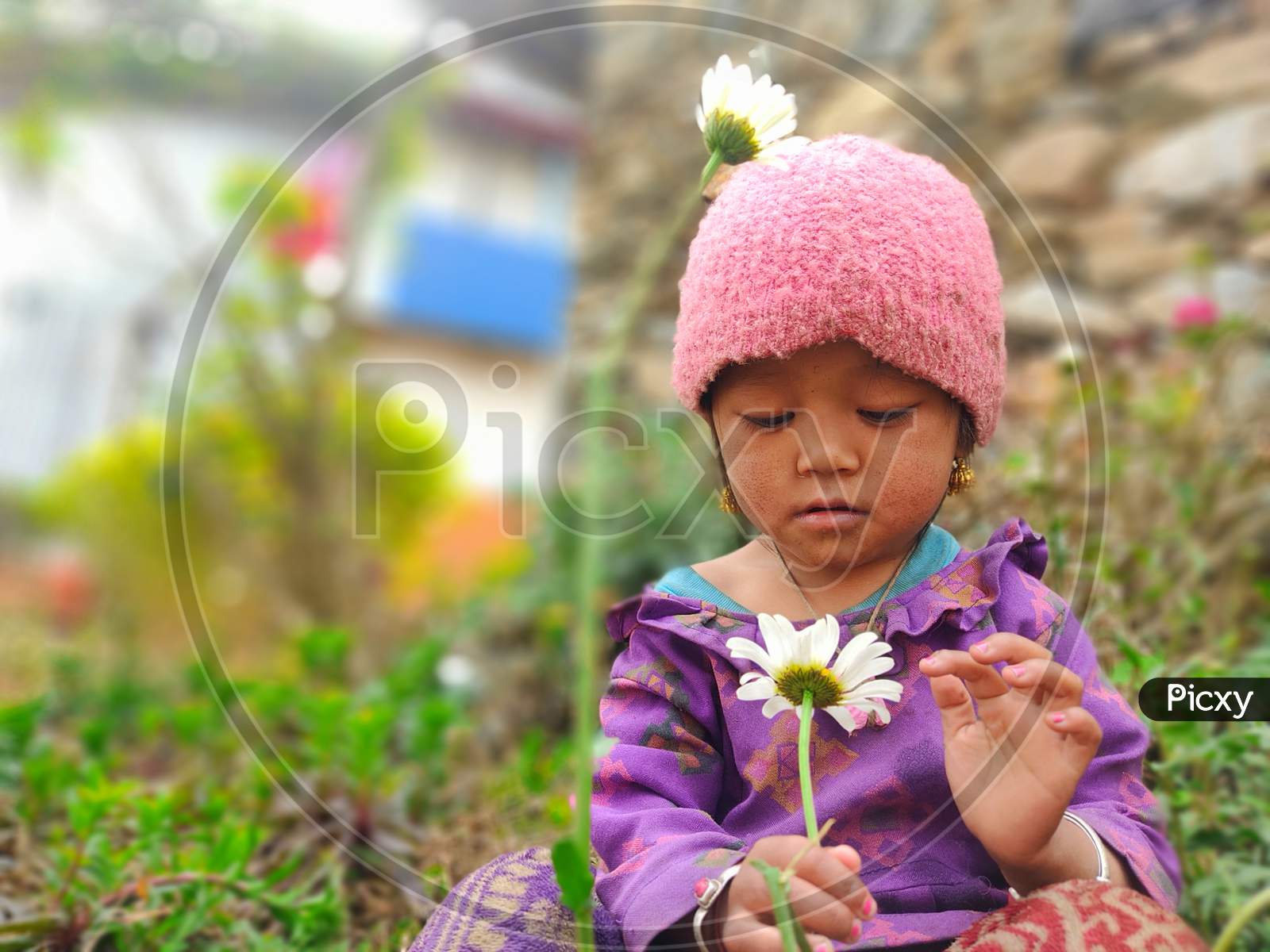 Image of Cute nepali himalayan girl-CV375631-Picxy