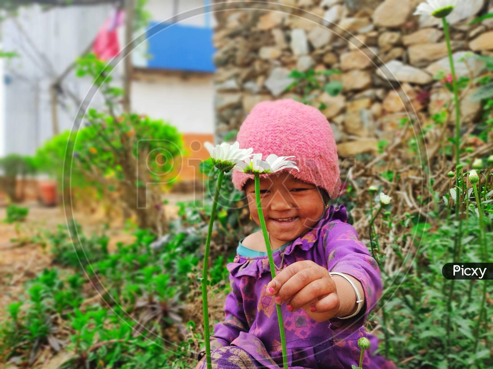 Image of Cute nepali himalayan girl-EV464228-Picxy