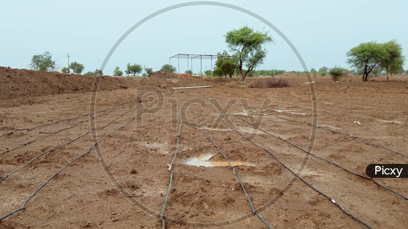 Pre monsoon preparation of drip irrigation system for sowing cotton seeds