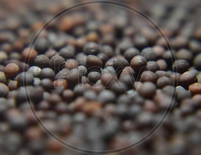 A Close Up Picture Of Mustard Seeds In Black