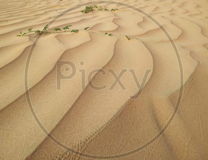 Closeup Of Sand Dune Texture