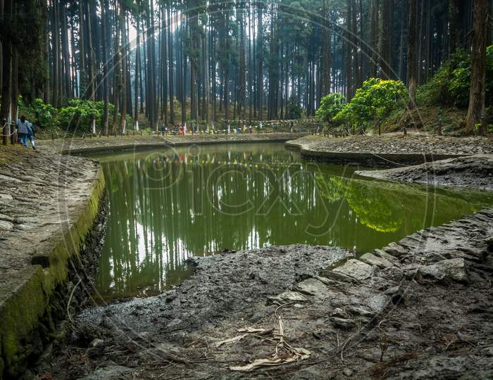Sacred Pond Of Lamahatta, Darjeeling, India