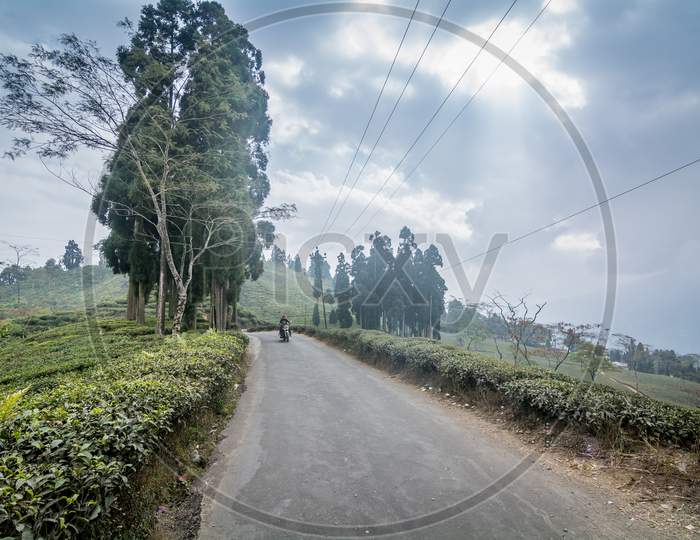 Bike Riding Through Tea Plantations Of Darjeeling, India