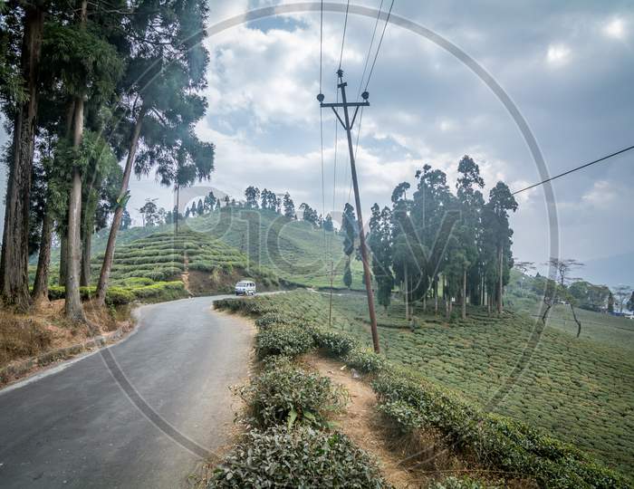 A Beautiful Road Through Darjeeling Tea Plantation