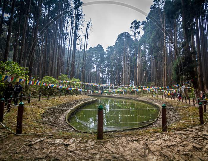 The Sacred Pond Of Lamahatta, Darjeeling, India