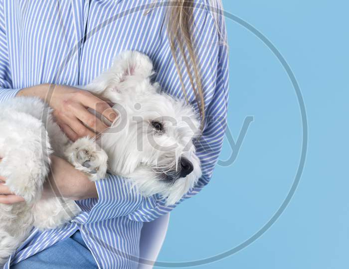 Woman holding her cute dog, person and dog