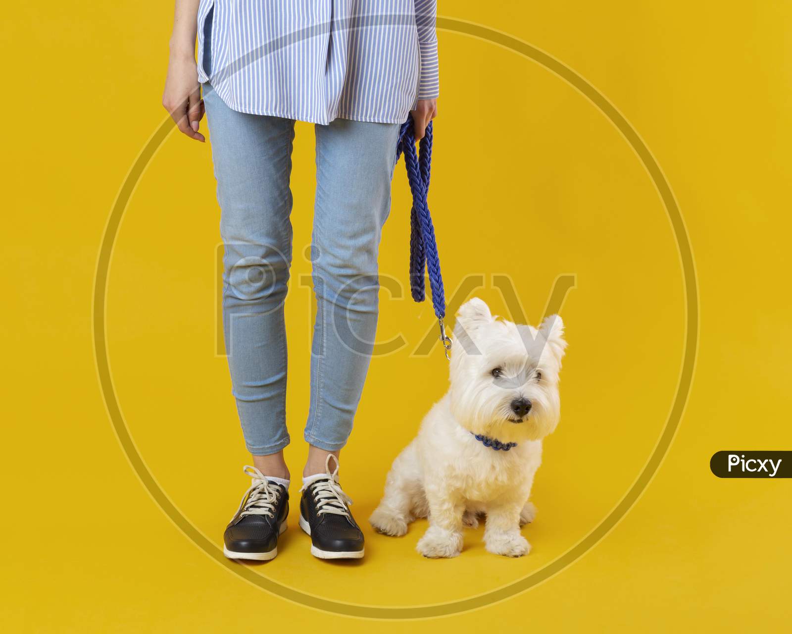 Woman standing next to her adorable dog, person holding a dog