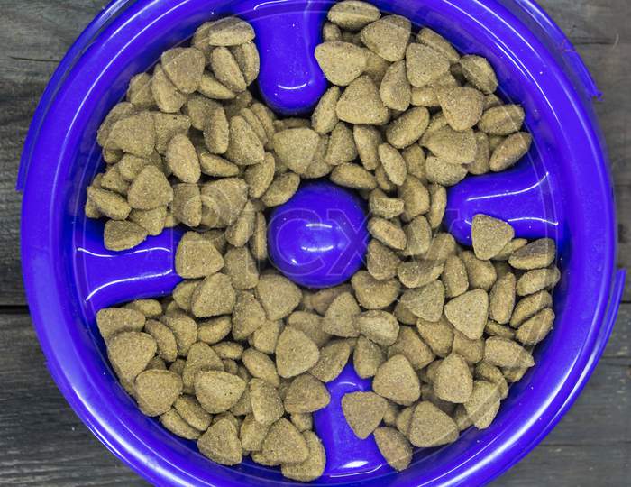 Plastic Plate With Balanced Food For Dogs And Cats